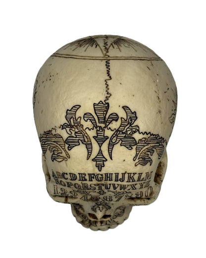 Top rear view of gothic skull highlighting engraved patterns and symmetrical design
