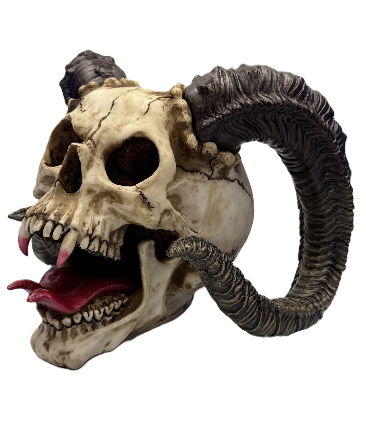 Angled view of gothic ram skull decor showing textured horns and hand-painted bone finish
