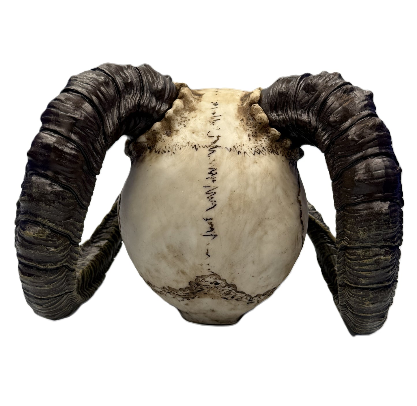 Back view of skull statue emphasizing horn symmetry and textured resin finish
