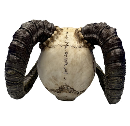 Back view of skull statue emphasizing horn symmetry and textured resin finish
