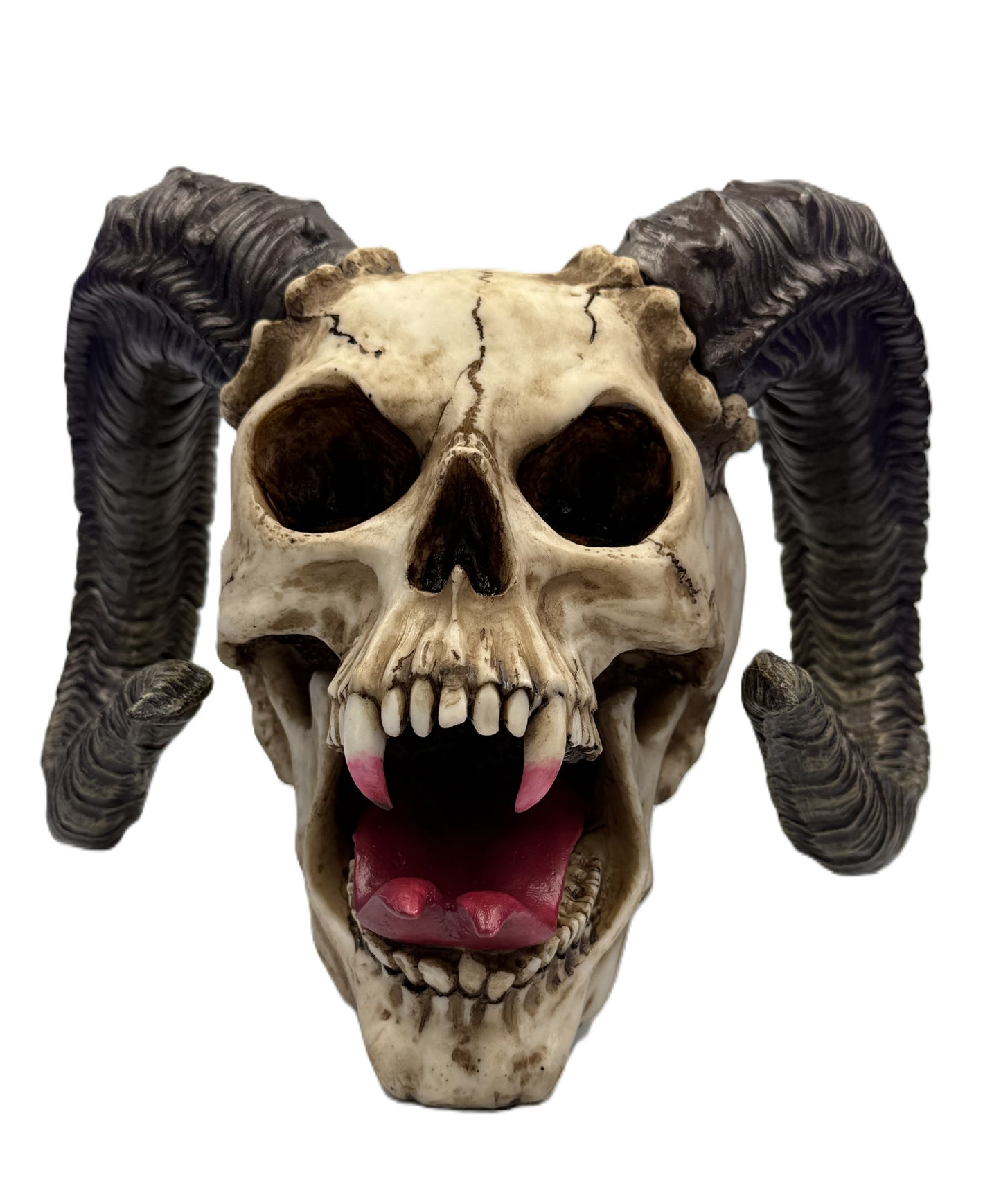 Front view of ram horned skull statue with open mouth, fangs, and detailed curved horns
