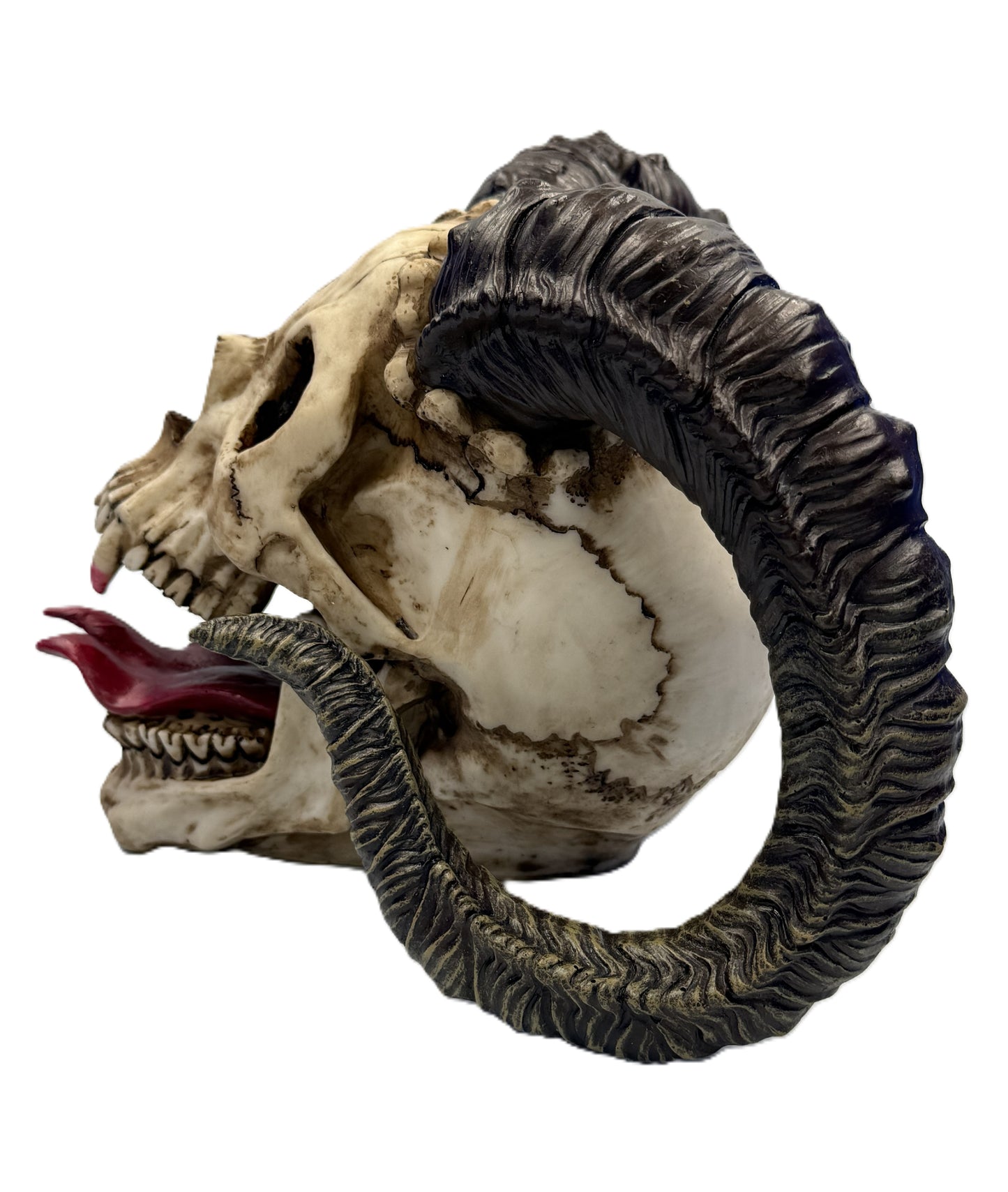 Side view of fantasy skull statue highlighting long curved horns and weathered bone texture
