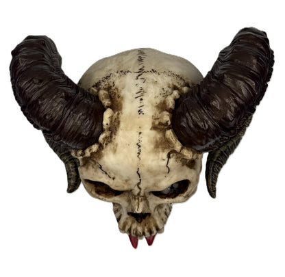 Top view of gothic ram skull decor displaying horn placement and sculpted bone details

