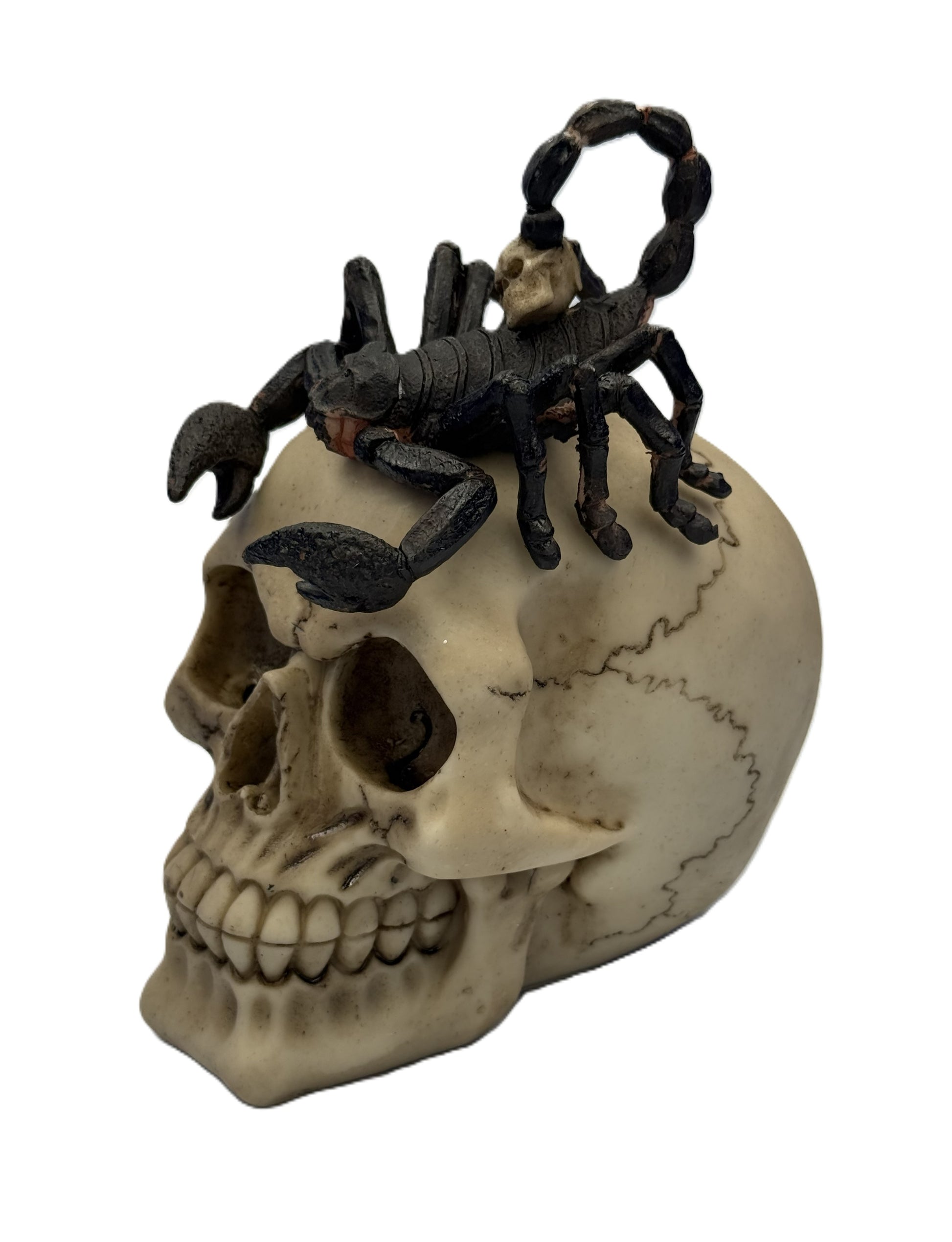Front angled view of gothic skull statue with detailed scorpion perched on top
