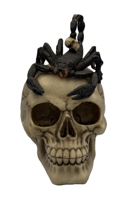 Straight-on front view of skull statue with scorpion positioned above eye sockets
