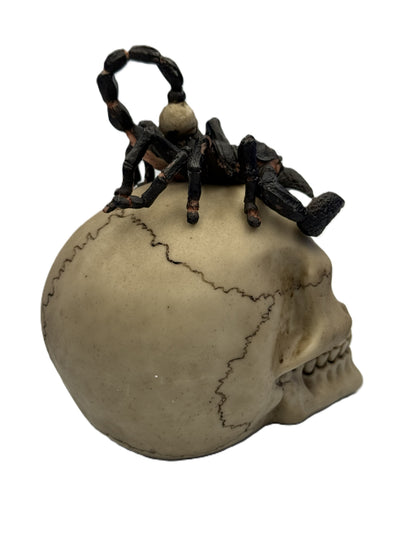 Side view of gothic skull statue highlighting scorpion legs and realistic bone detailing
