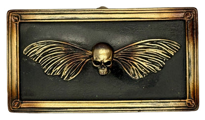 Top view of skull moth box showing detailed winged skull lid design

