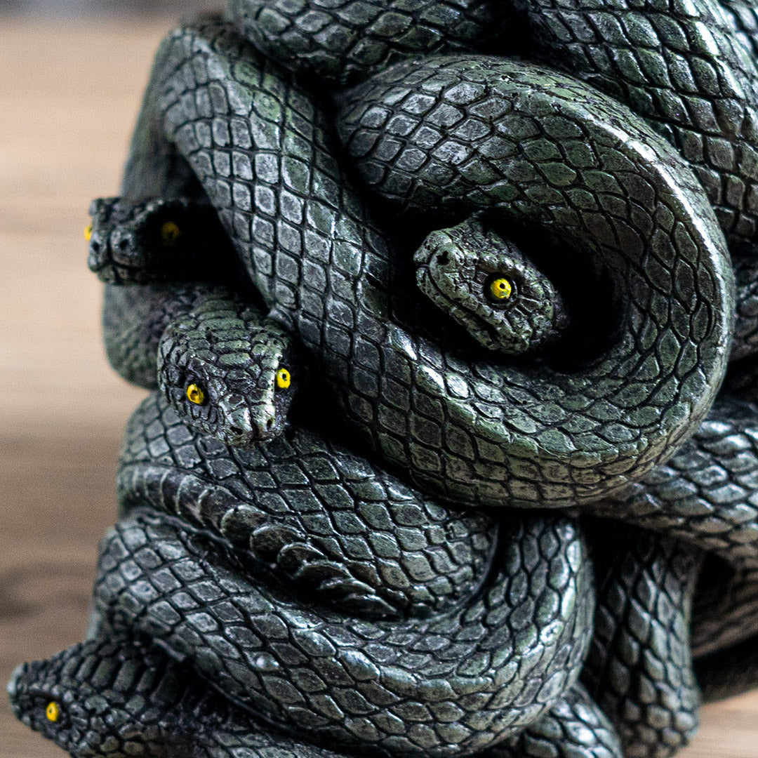 Close-up of snake skull decor showing detailed scales and yellow serpent eyes
