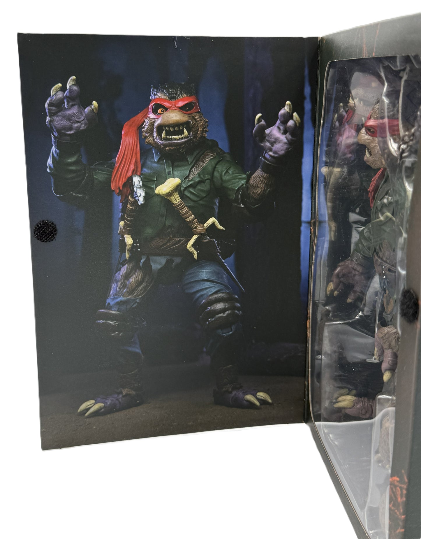 Inside artwork featuring Raphael transformed into The Wolf Man from the TMNT x Universal Monsters collection.