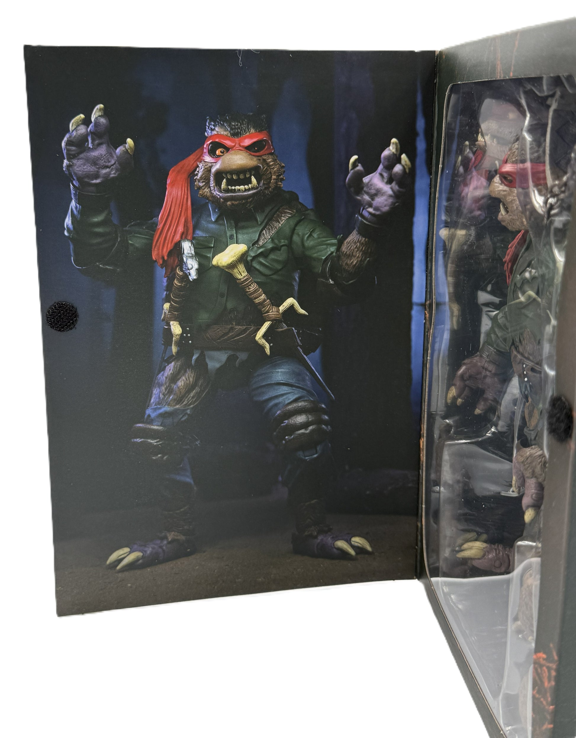Inside artwork featuring Raphael transformed into The Wolf Man from the TMNT x Universal Monsters collection.