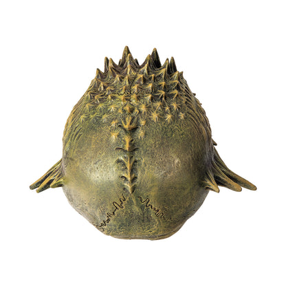 Back view of spiked skull showing detailed texture and pattern
