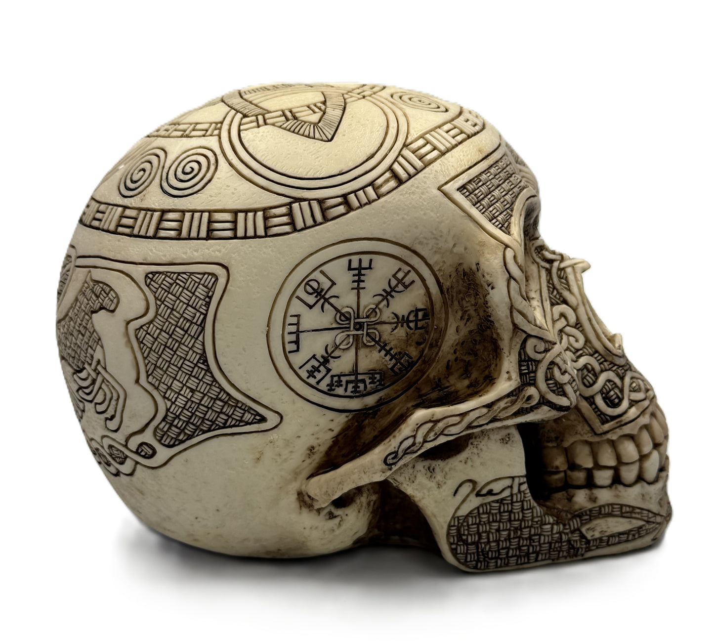 Side front view of Viking skull statue with Vegvisir compass engraving and detailed knotwork design
