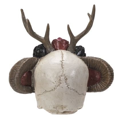 Back view showing detailed skull texture and horn structure
