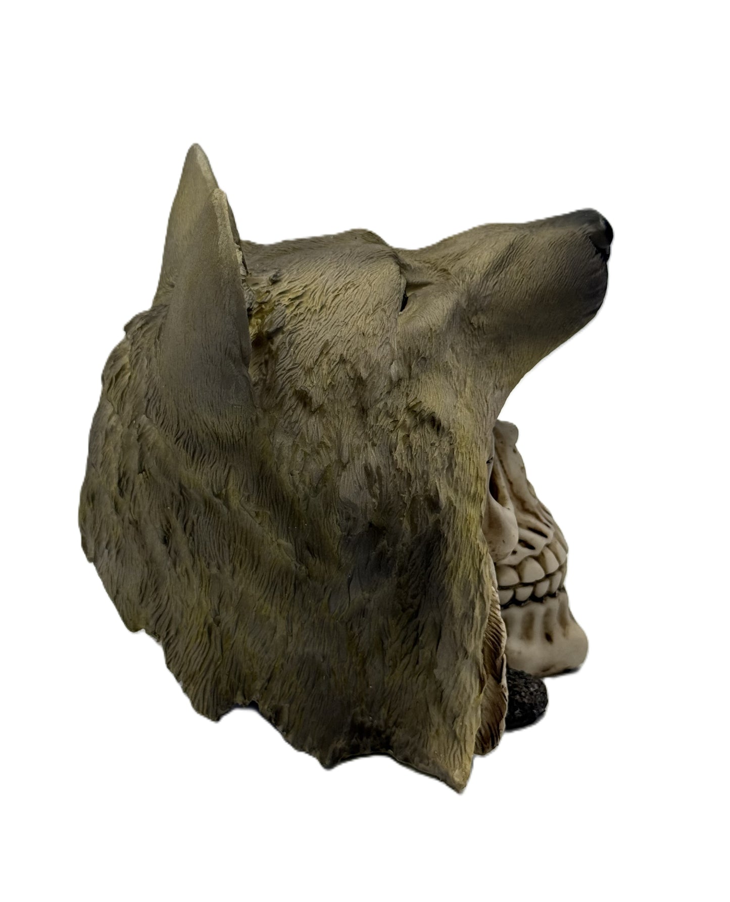 Rear angled view of wolf skull statue showing layered fur texture and sculpted detail on headdress
