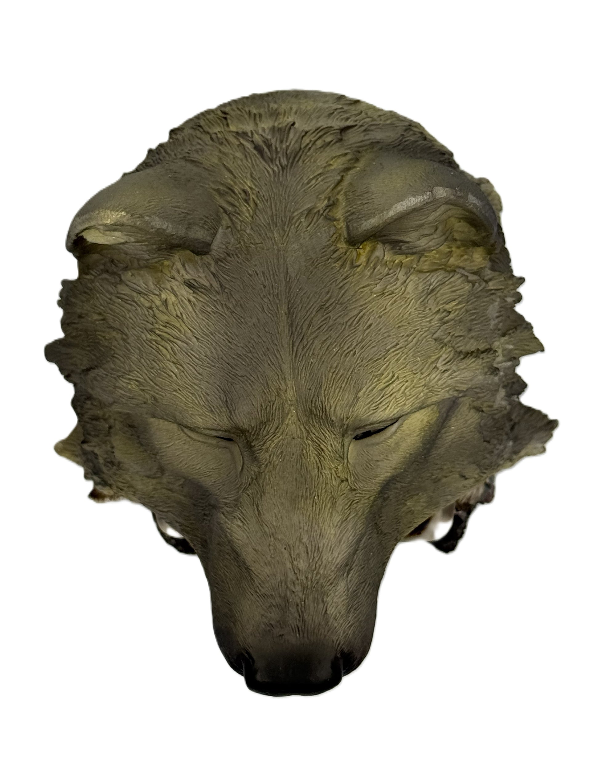 Top view of wolf head headdress statue showing detailed fur sculpting and natural shading finish
